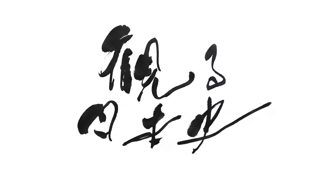 観る日本史																										 													
