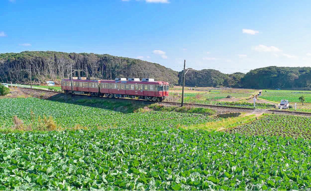 君ヶ浜駅付近を走行する銚子電鉄
3100形の現在の塗装